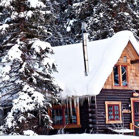 Pioneer Guest Cabins 마운트크레스티드부트 외부 사진