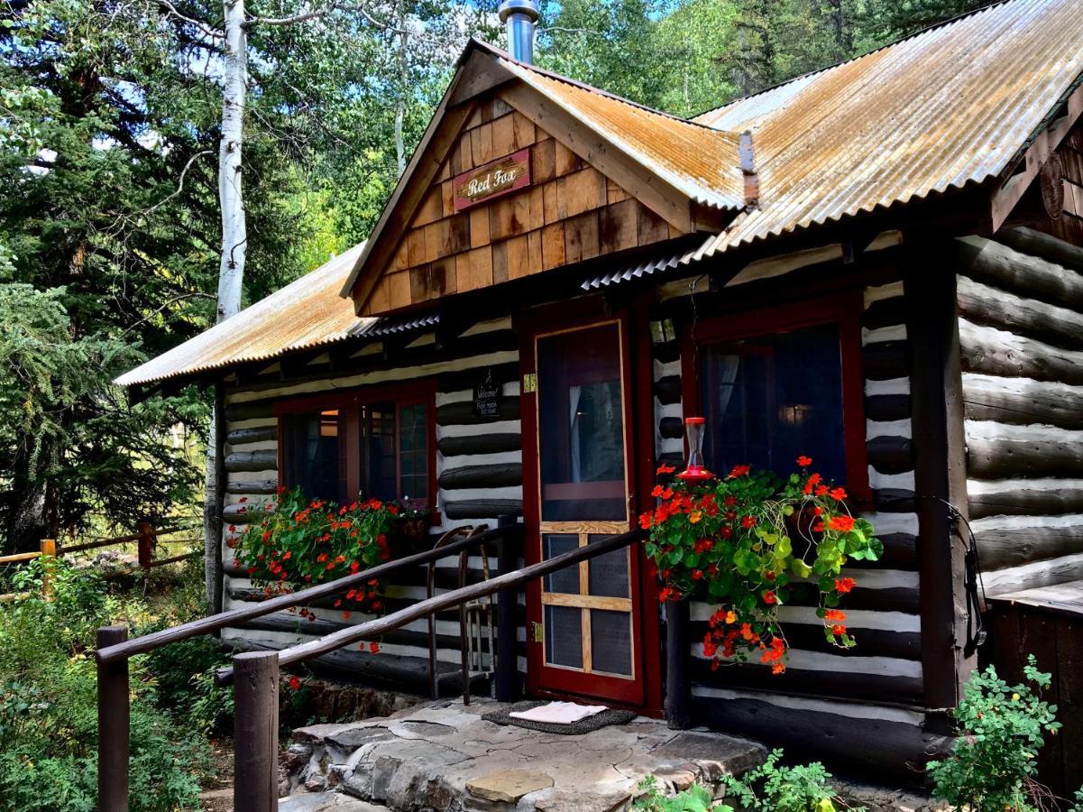 Pioneer Guest Cabins 마운트크레스티드부트 외부 사진