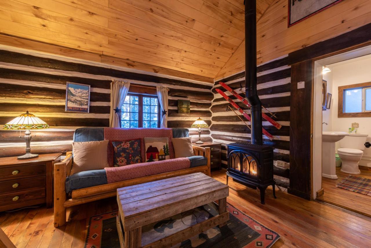 Pioneer Guest Cabins 마운트크레스티드부트 외부 사진