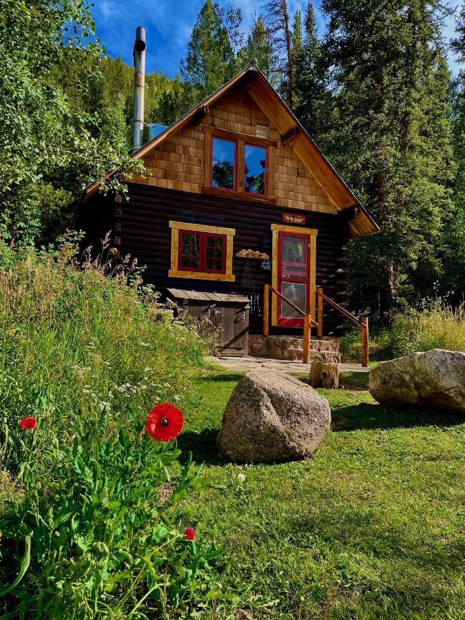 Pioneer Guest Cabins 마운트크레스티드부트 외부 사진