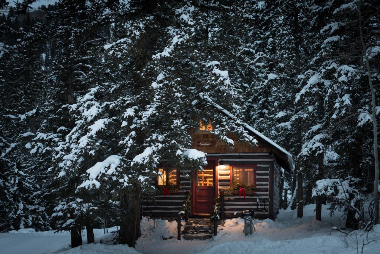 Pioneer Guest Cabins 마운트크레스티드부트 외부 사진