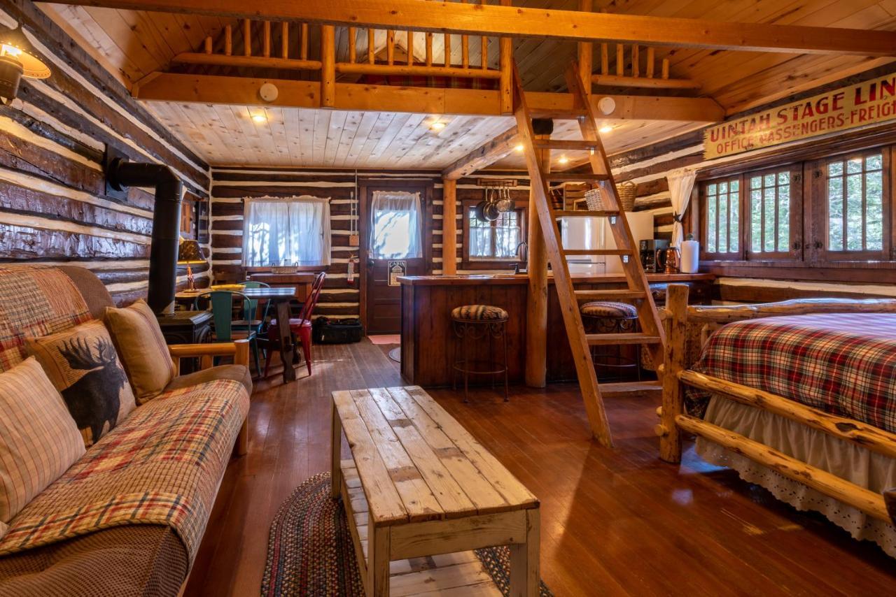 Pioneer Guest Cabins 마운트크레스티드부트 외부 사진