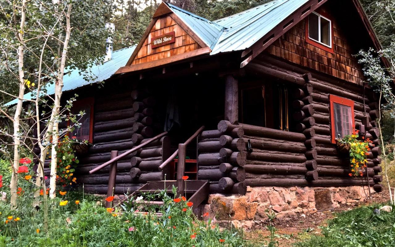 Pioneer Guest Cabins 마운트크레스티드부트 외부 사진